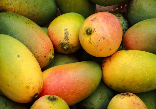 All Types of Mangoes