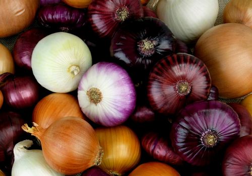 Red or White Onions
