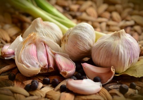 Fresh or Chilled or Dried Garlic